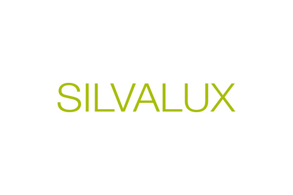 SILVALUX - Schnell trocknendes Lacksystem